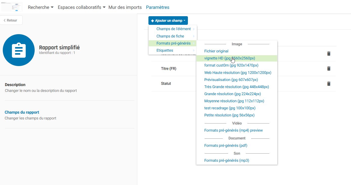exemple rapport CSV 3.jpg