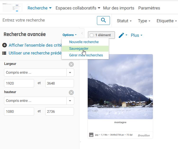 recherche avancée options Sauvegarder.jpg